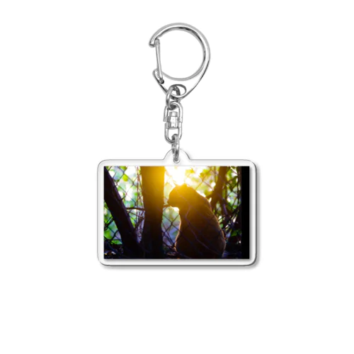 夕日と地域猫 in 品川 Acrylic Key Chain