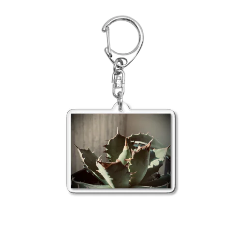 namomai titanota Acrylic Key Chain