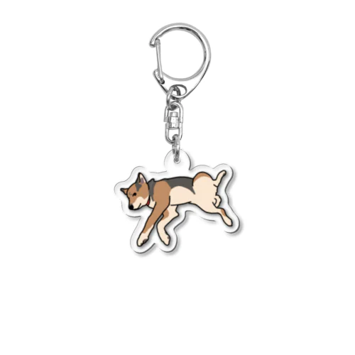 犬のアン(ごろ寝) Acrylic Key Chain