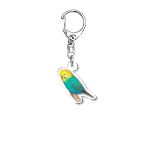 [森図鑑] セキセイインコ レインボー Acrylic Key Chain