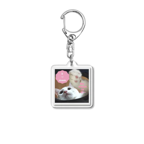 Pi Acrylic Key Chain