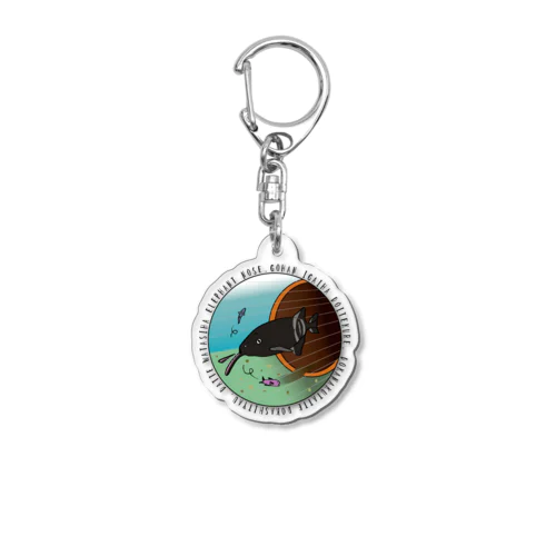 「まめまめ水族館」エレファントノーズのバブ Acrylic Key Chain