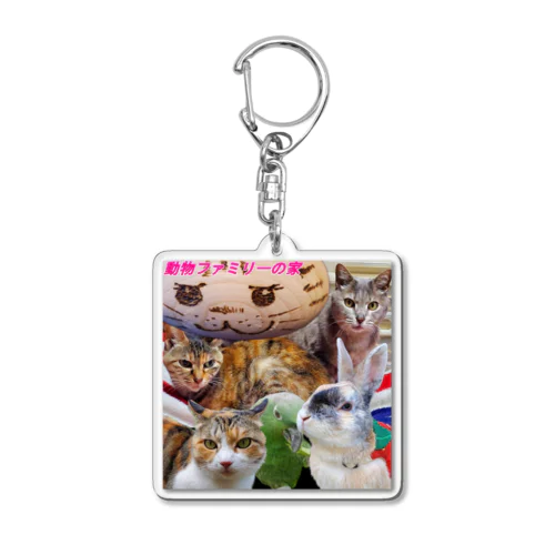 動物ファミリーの家グッズ Acrylic Key Chain