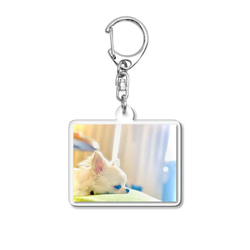 しじみちゃん Acrylic Key Chain