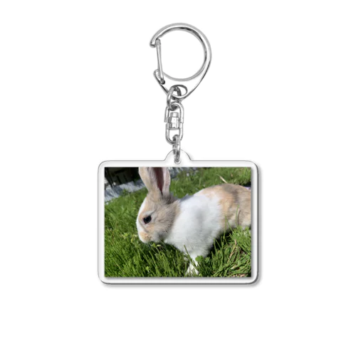 ミニウサギのお散歩 Acrylic Key Chain