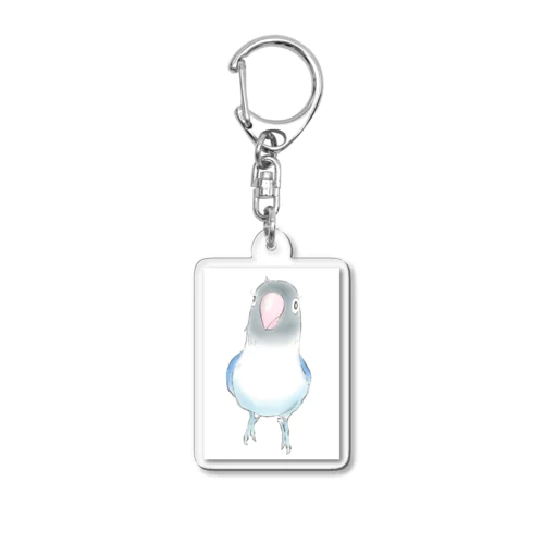 インコさん Acrylic Key Chain