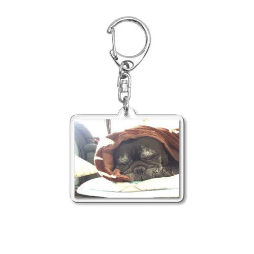 ぶーぶくん Acrylic Key Chain