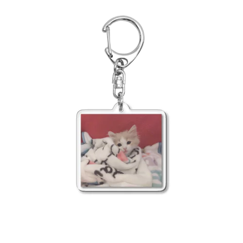 こたん Acrylic Key Chain