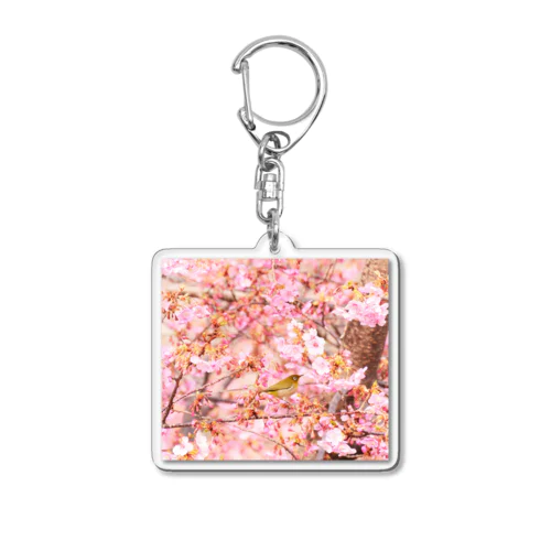 めじろとさくら（その１） Acrylic Key Chain