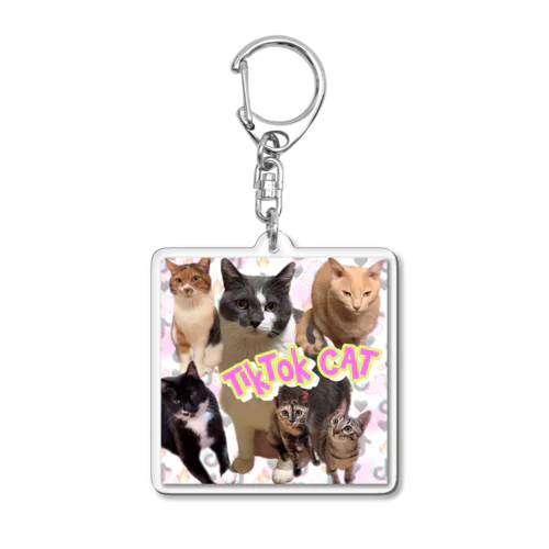 TikTok猫部キーホルダー Acrylic Key Chain