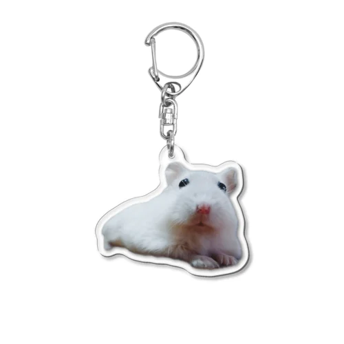 すふぃんくす Acrylic Key Chain