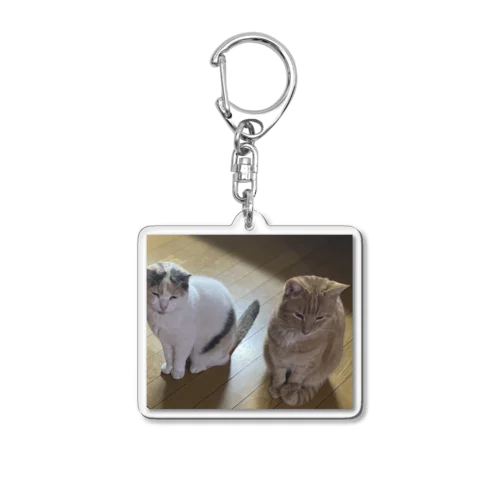 気まずい猫 Acrylic Key Chain