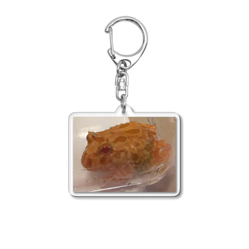 Ahiru Acrylic Key Chain