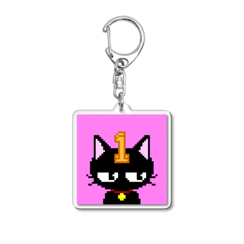 Grumpy kittens #001 Acrylic Key Chain