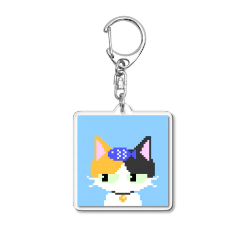 Grumpy kittens #002 Acrylic Key Chain