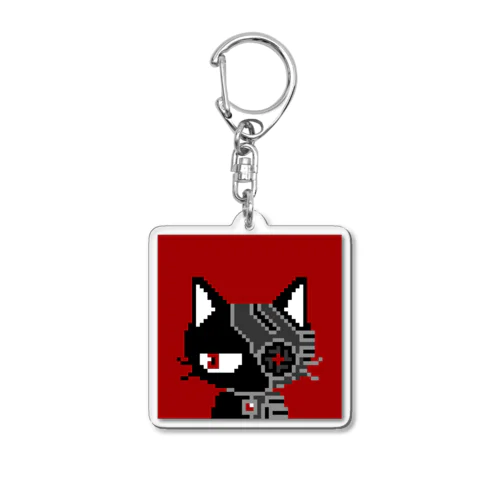 Grumpy kittens #005 Acrylic Key Chain