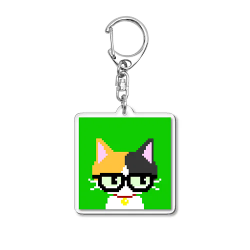 Grumpy kittens #006 Acrylic Key Chain