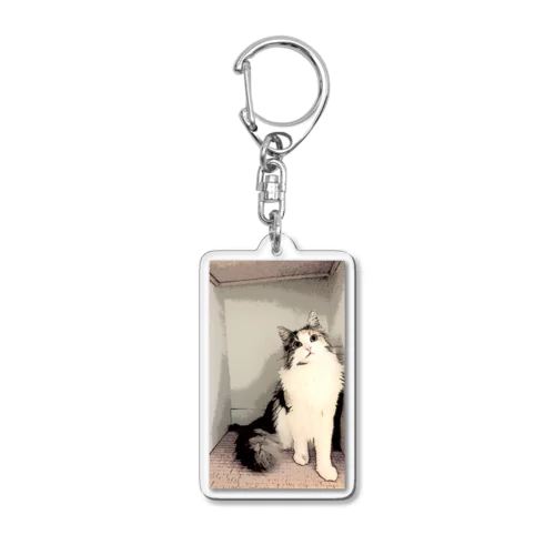 ノルウェージャンフォレストキャット Acrylic Key Chain