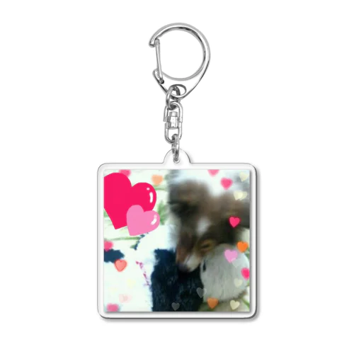 Kantarou the Sheltie Acrylic Key Chain