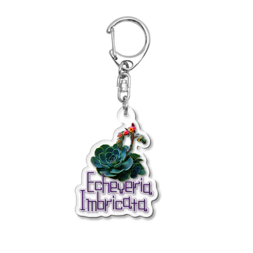 エケベリアの花 Acrylic Key Chain