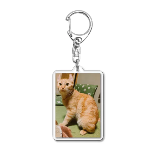 猫のまろんちゃんキーホルダー Acrylic Key Chain