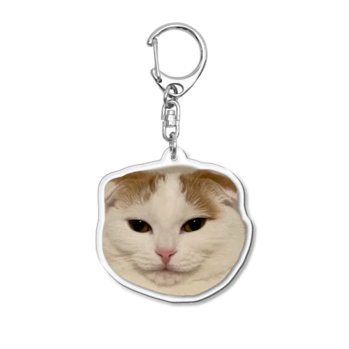 愛猫きなこのオリジナルグッズ Acrylic Key Chain