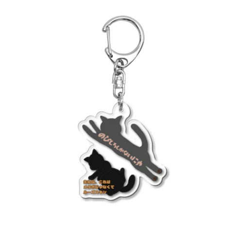 猫のお腹はルーズスキン　片面バージョン Acrylic Key Chain