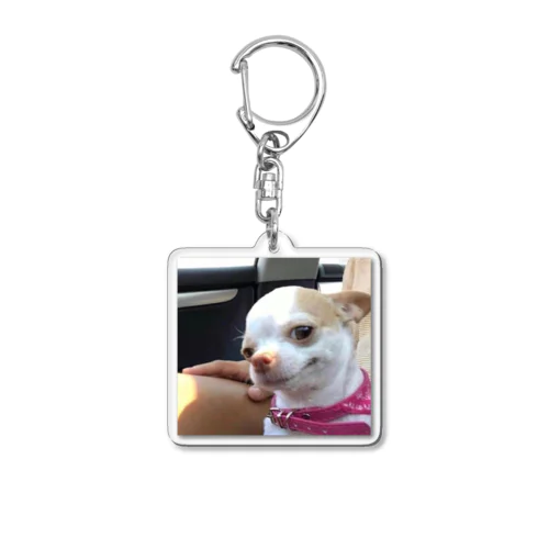 Chihuahua Acrylic Key Chain