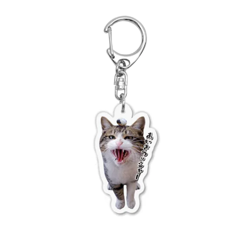 新登場！うずらの卵を頭に乗せた「あいさつはシャー」あまちゃんキーホルダー🐱 Acrylic Key Chain