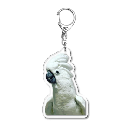 鳥　オウム　タイハクオウム Acrylic Key Chain