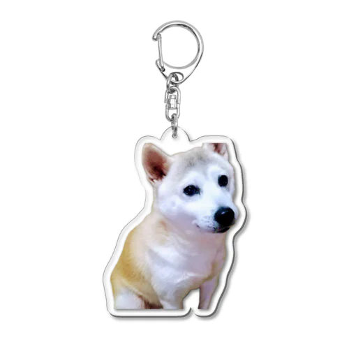 かわいいフクちゃん Acrylic Key Chain