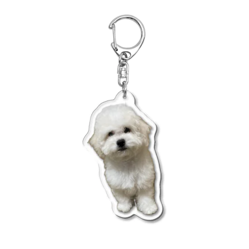 あんのキーホルダー Acrylic Key Chain