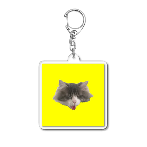 NEMUMI YW Acrylic Key Chain