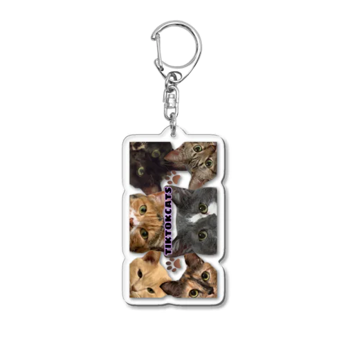 TikTok猫部チラ見アクリルキーホルダー Acrylic Key Chain