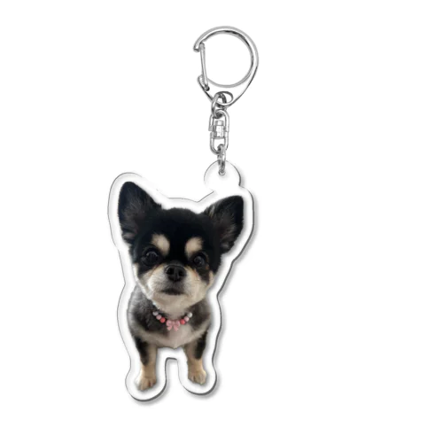 ここまる。🐶🎀アクキー Acrylic Key Chain