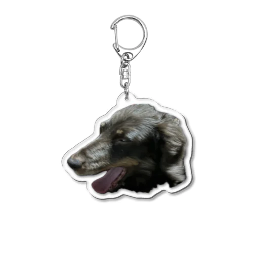 私の犬様🐶カニンヘンダックス&チワワちゃん Acrylic Key Chain