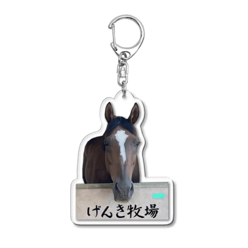 サンシャルナ（アップ） Acrylic Key Chain