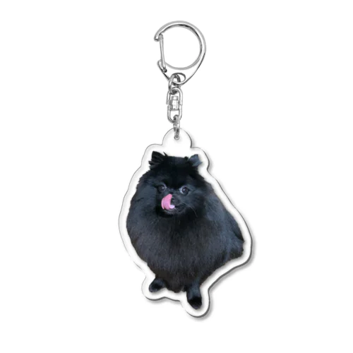 ぺろり黒ポメ Acrylic Key Chain