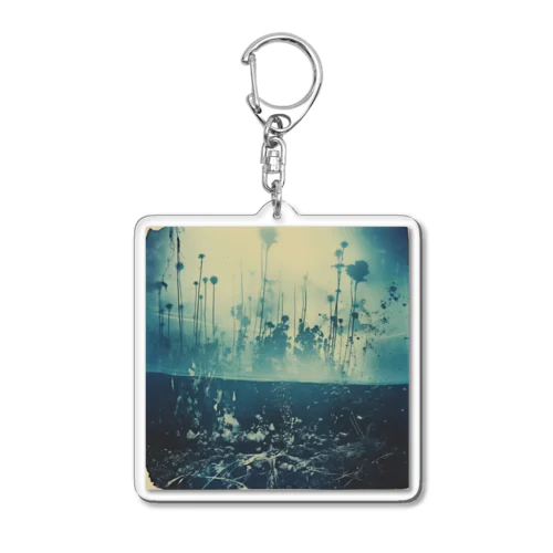 cyanotype  Acrylic Key Chain