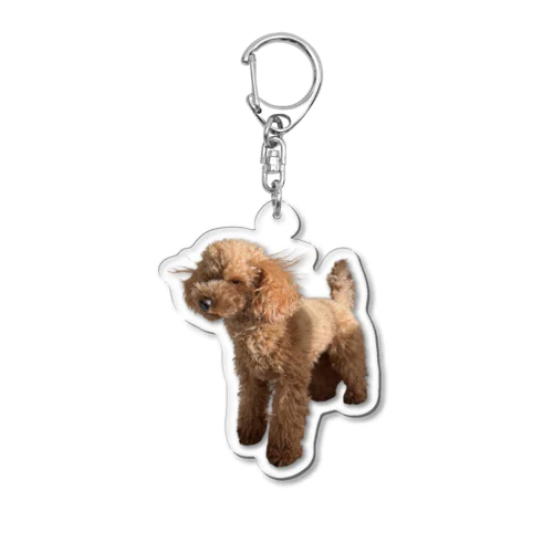 静電気犬 Acrylic Key Chain