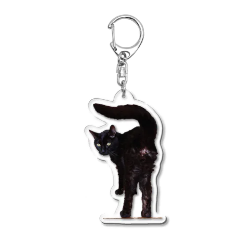 はがねっちり Acrylic Key Chain