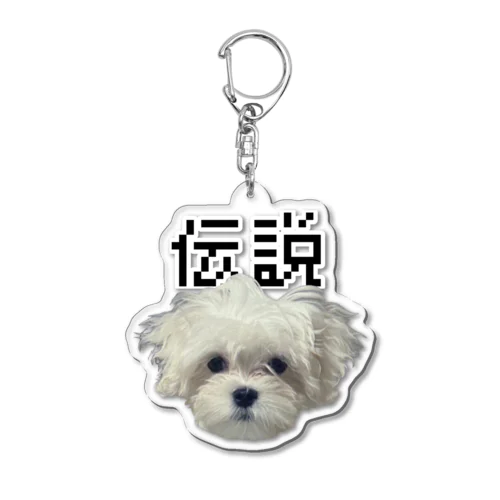 レジェンドオブポロちゃんシリーズ Acrylic Key Chain