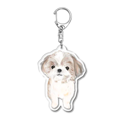 シーズーちゃんおすましポーズ Acrylic Key Chain