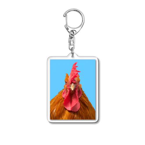 コッコの証明写真 Acrylic Key Chain