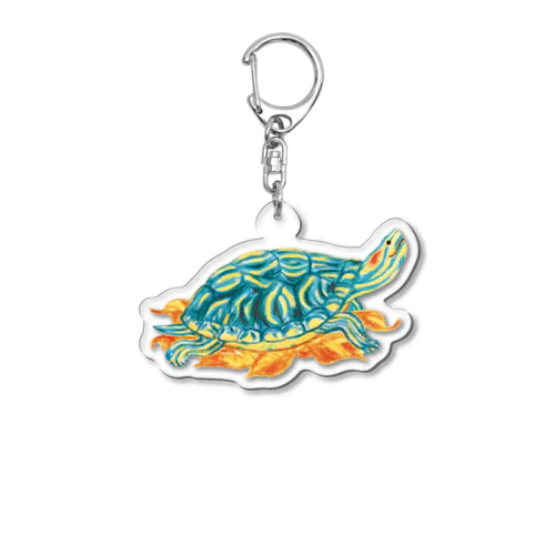 春を待つ アカミミガメ 小春 AK Acrylic Key Chain