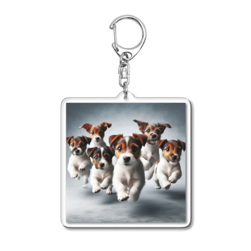 FlyingJacky Acrylic Key Chain