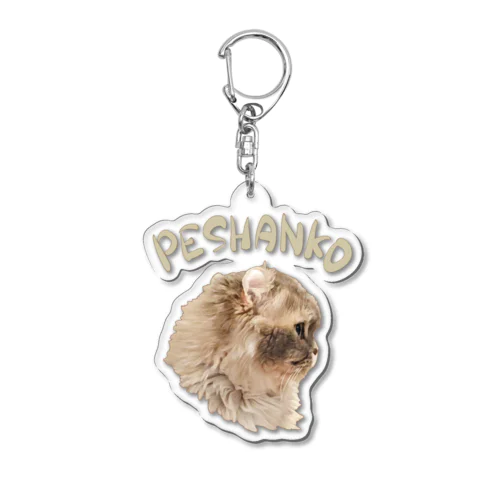 ペシャンコ猫のあおたろ Acrylic Key Chain