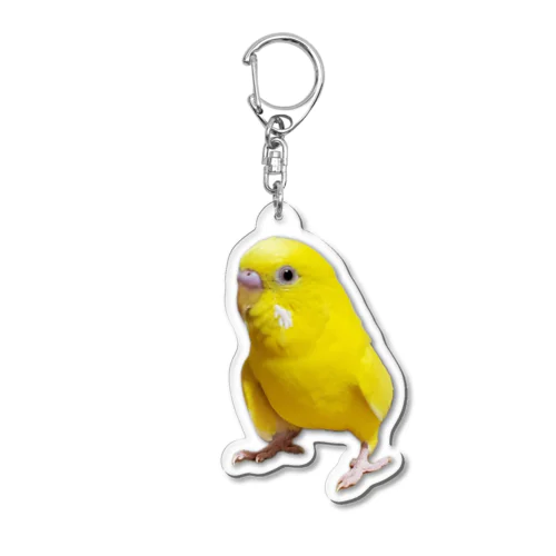 セキセイインコ　ルチノー アクリルキーホルダー