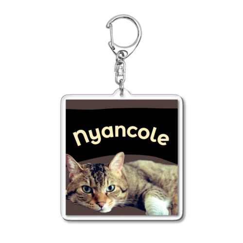 Nyancole こてつ Acrylic Key Chain