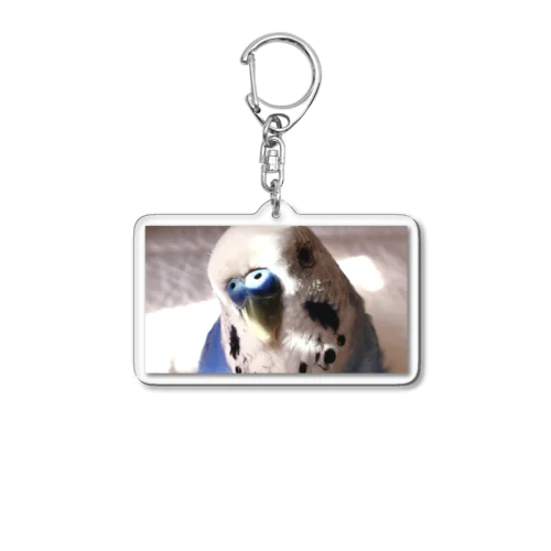 「なぁに？」な青い鳥 Acrylic Key Chain